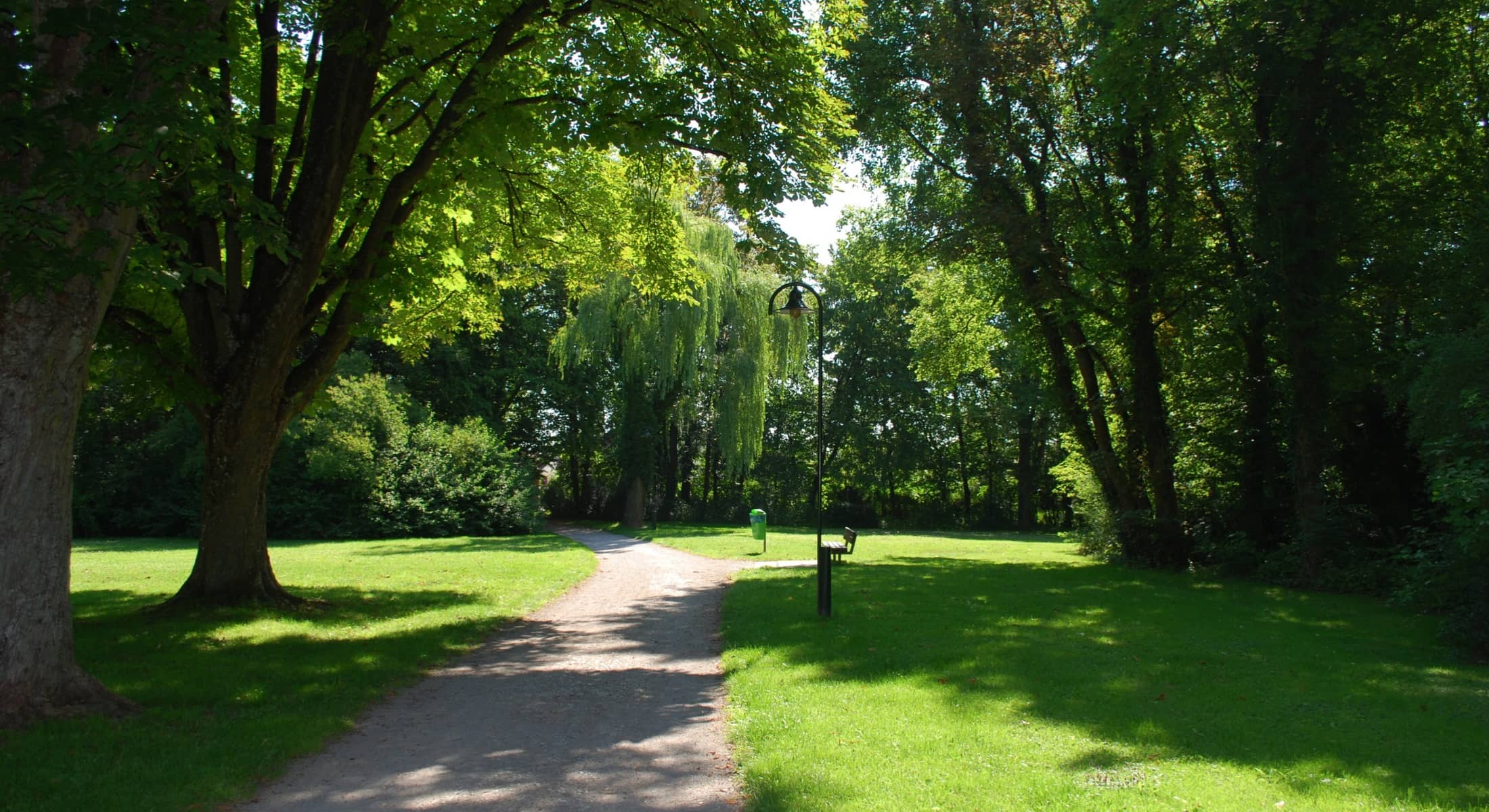 Sentiero immerso nel verde del Parco dell’Adige Sud a Verona, tra prati e alberi secolari